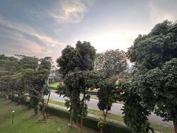 Neptune Court (D15), Apartment #506410521